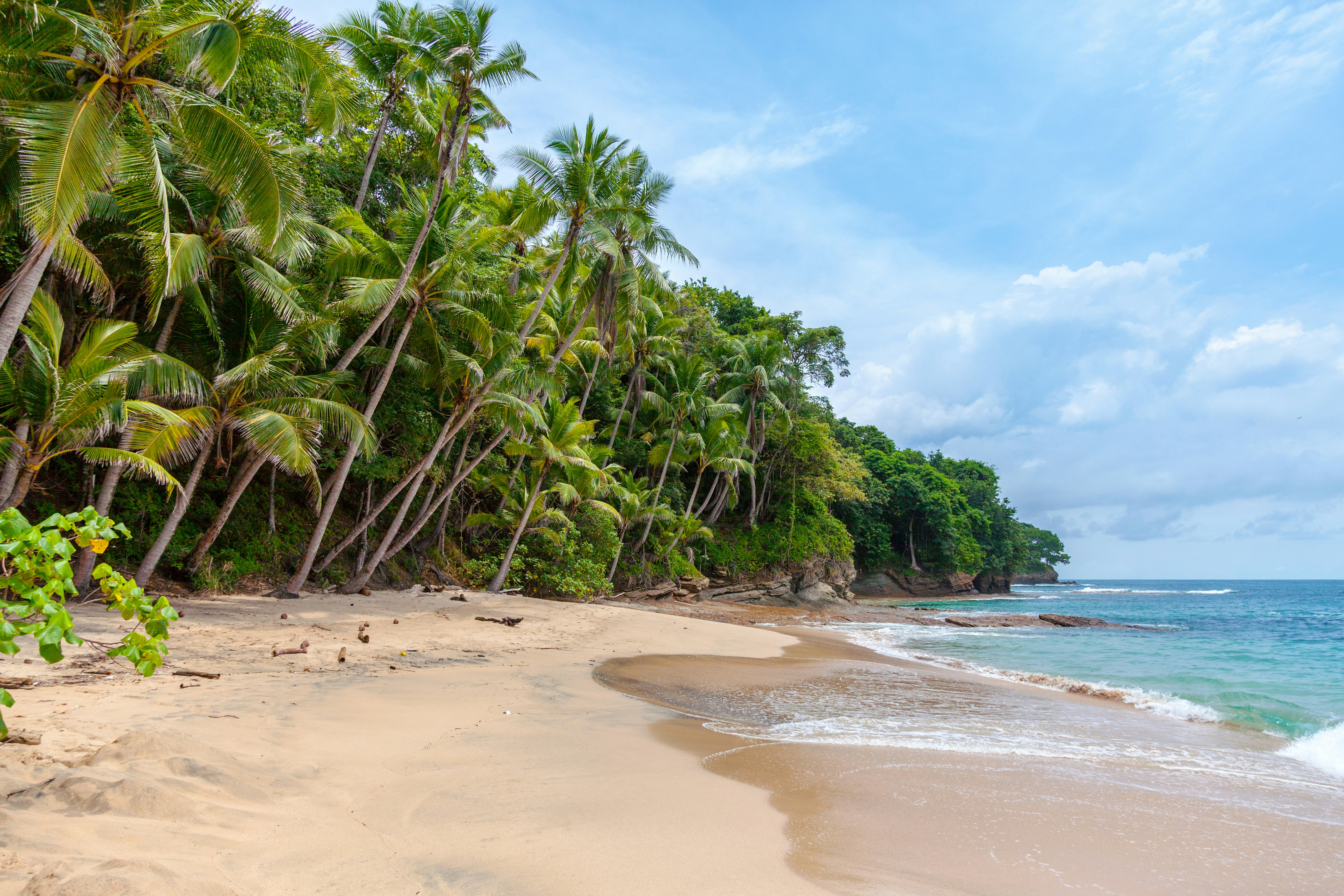 A beach