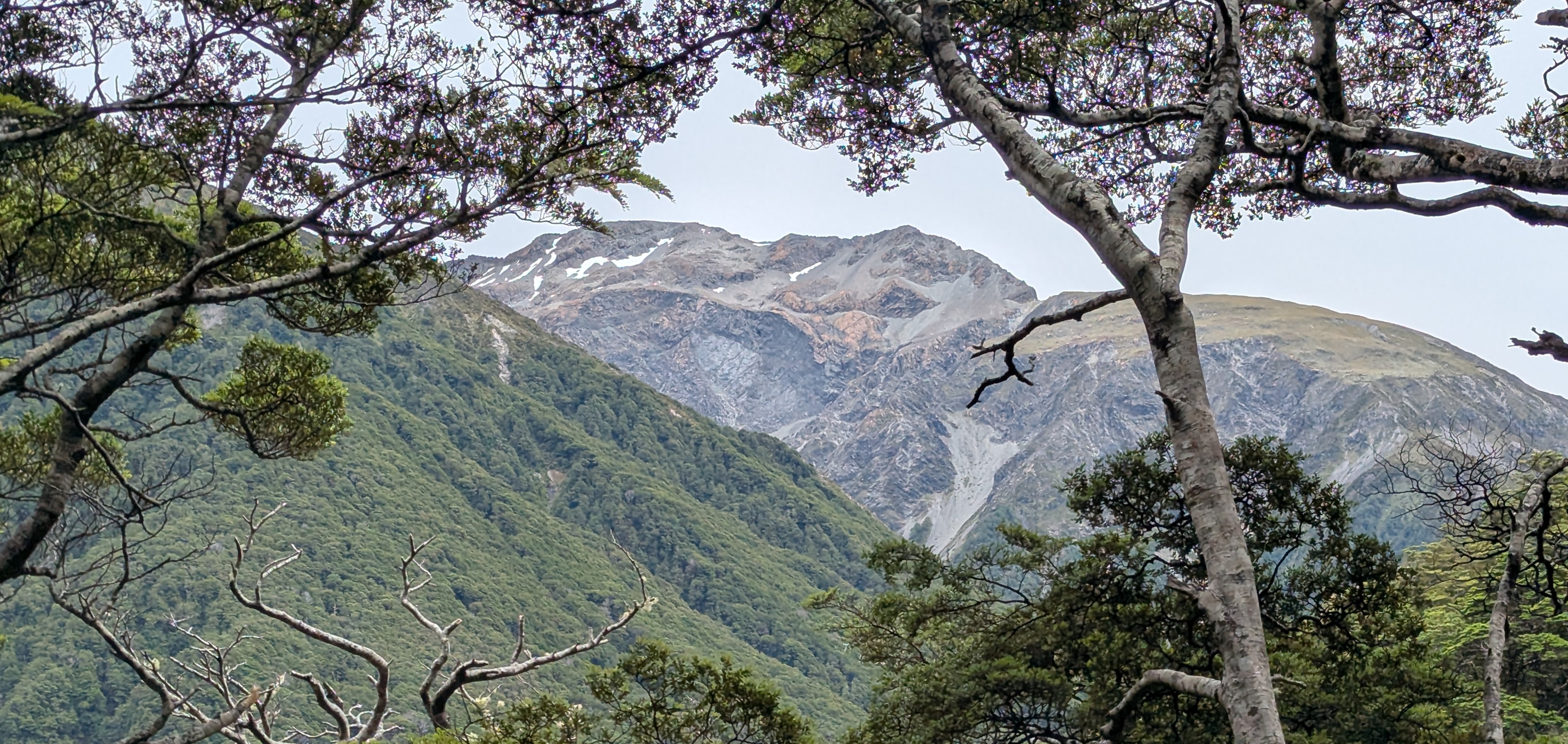 Arthur's Pass