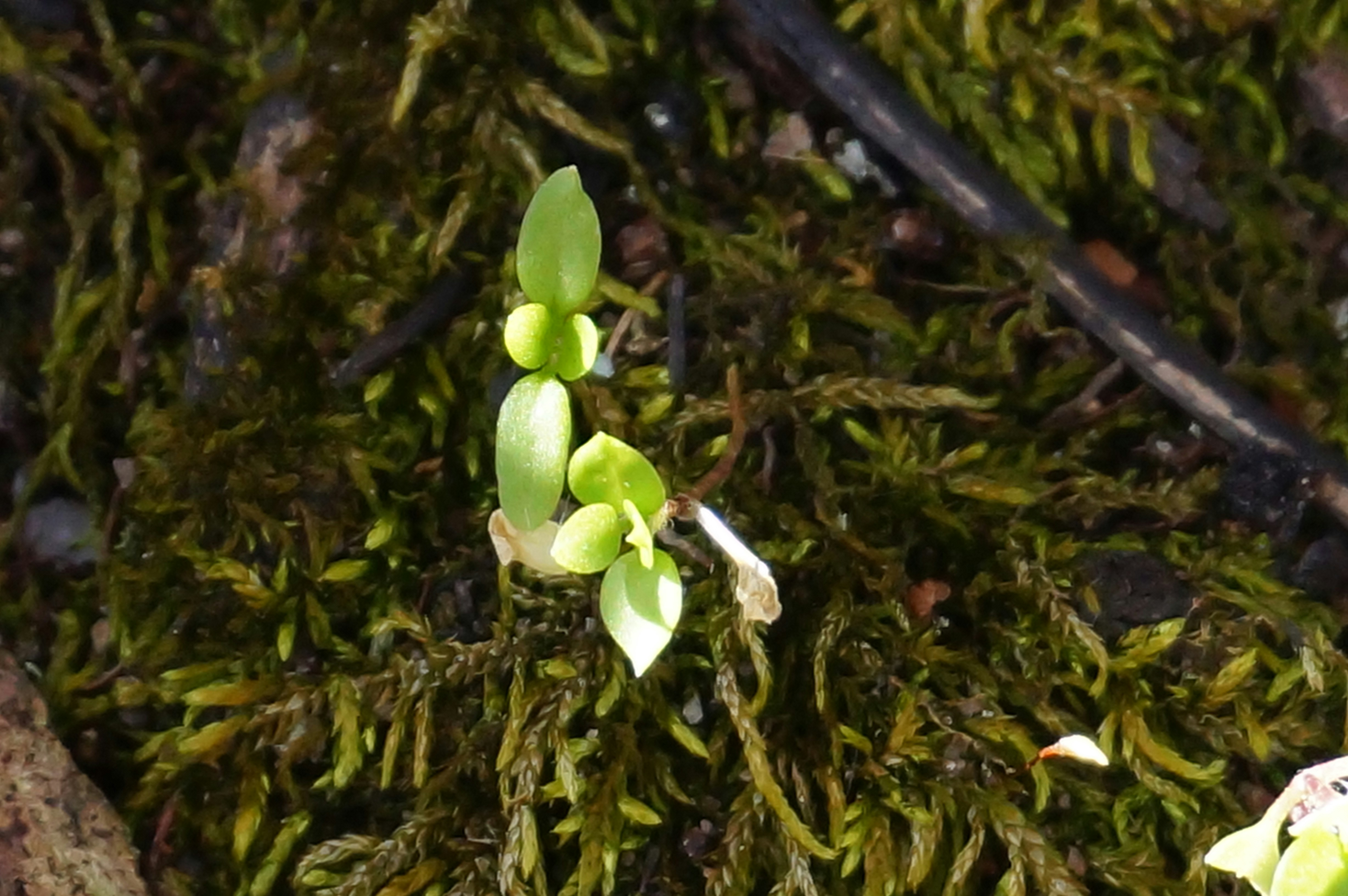 Photo by Peyton Clough on Unsplash