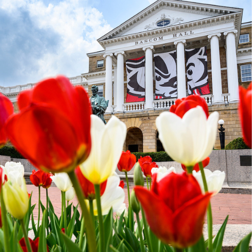 Photo courtesy of UW-Madison